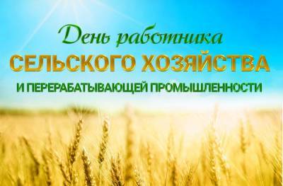 День работников сельского хозяйства (2020): дата. Когда отметят праздник? - yur-gazeta.ru - Россия