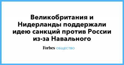 Алексей Навальный - Доминик Рааб - Стеф Блок - Великобритания и Нидерланды поддержали идею санкций против России из-за Навального - forbes.ru - Россия - Англия - Германия - Франция - Голландия
