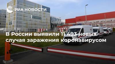 В России выявили 11 493 новых случая заражения коронавирусом - ria.ru - Москва - Россия