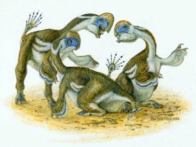 Новый вид динозавров назван в честь трехглавого орла из якутского эпоса - polit.ru - Монголия