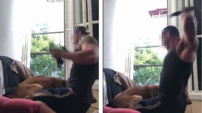 Избивал собаку, чтобы отомстить подруге: житель Бат-Яма пойдет под суд - vesty.co.il - Тель-Авив - Бат-Яма