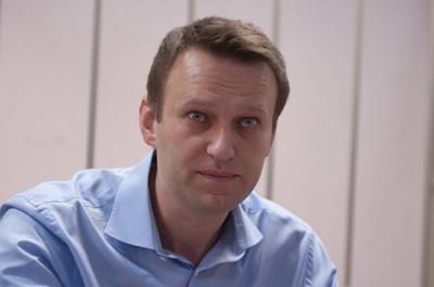 Алексей Навальный - В МВД рассказали о результатах проверки инцидента с Алексеем Навальным - pnp.ru - Россия - Германия - Омск - округ Сибирский - Томск