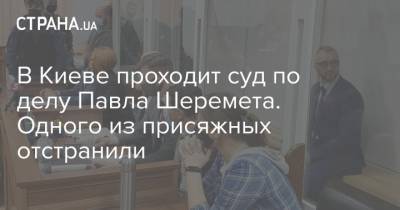 Павел Шеремет - Андрей Антоненко - В Киеве проходит суд по делу Павла Шеремета. Одного из присяжных отстранили - strana.ua - Киев