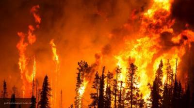 Лесной пожар угрожает жителям Турции близ Мраморного моря - inforeactor.ru - Турция - Анталья