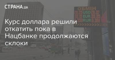 Валерия Гонтарева - Андрей Шевчишин - Курс доллара решили откатить пока в Нацбанке продолжаются склоки - strana.ua