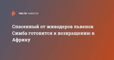 Карен Даллакян - Спасенный от живодеров львенок Симба готовится к возвращению в Африку - ren.tv - Челябинск - респ. Дагестан - Танзания