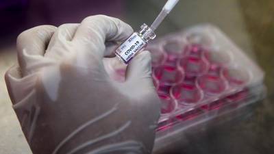 Уильям Эванин - США обвинили Россию в попытках помешать получить вакцину от коронавируса - iz.ru - Россия - Китай - США - Израиль - Иран
