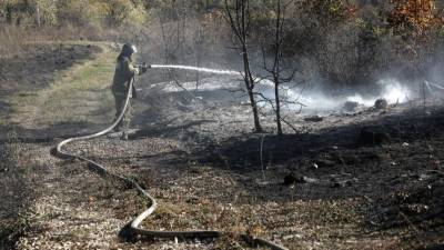 Режим ЧС из-за пожара на складе боеприпасов отменяют под Рязанью - 5-tv.ru - Рязань - Минобороны