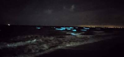 В Одессе ночное море окрасилось светло-голубым сиянием - golos.ua - Украина - Одесса - Южный