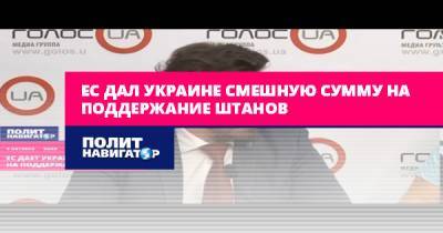 Андрей Новак - ЕС дал Украине смешную сумму на поддержание штанов - politnavigator.net - Украина - Киев - Брюссель - Ес