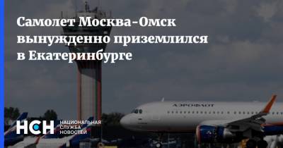 Самолет Москва-Омск вынужденно приземлился в Екатеринбурге - nsn.fm - Москва - Екатеринбург - Омск - Уральск