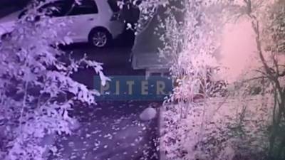 Поджог "Газели" на Пискаревском проспекте попал на видео - piter.tv - Санкт-Петербург
