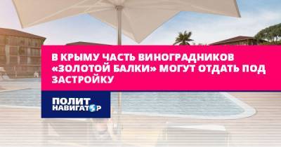 В Крыму часть виноградников «Золотой балки» могут отдать под... - politnavigator.net - Россия - Крым - Севастополь