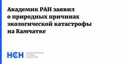 Дмитрий Кобылкин - Академик РАН заявил о природных причинах экологической катастрофы на Камчатке - nsn.fm - Россия - Камчатский край