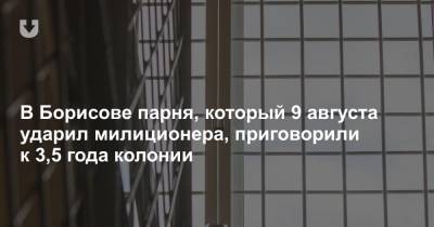 В Борисове парня, который 9 августа ударил милиционера, приговорили к 3,5 года колонии - news.tut.by - Белоруссия