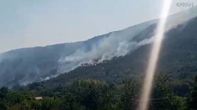 Хусейн Арнус - Сирийские спасатели ликвидируют пожары на западе страны - riafan.ru - Сирия