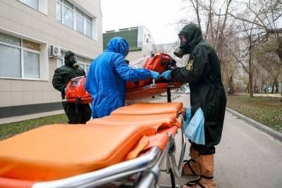 В Волгограде подтвердили 48 новых случаев коронавируса - volg.mk.ru - Волгоград - Урюпинск - Михайловск