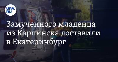 Замученного младенца из Карпинска доставили в Екатеринбург - ura.news - Екатеринбург - Карпинск