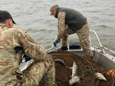 В Черкасской области задержали браконьера с огромным уловом рыбы - golos.ua - Черкасская обл. - Черновцы