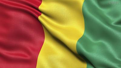 Вероятность цветной революции создает угрозу для спокойных выборов в Гвинее - riafan.ru - Гвинея - Конакри