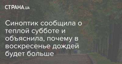 Наталья Диденко - Синоптик сообщила о теплой субботе и объяснила, почему в воскресенье дождей будет больше - strana.ua - Украина - Киев - Крым - Одесская обл.