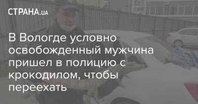 В Вологде условно освобожденный мужчина пришел в полицию с крокодилом, чтобы переехать - strana.ua - Сочи - Вологда