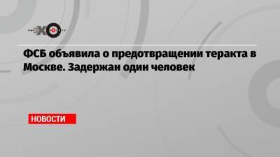 ФСБ объявила о предотвращении теракта в Москве. Задержан один человек - echo.msk.ru - Москва - Россия