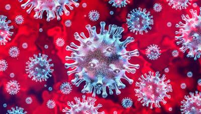 Ученые обнаружили в Европе новый вид коронавируса - sharij.net - Швейцария - Испания - Европа