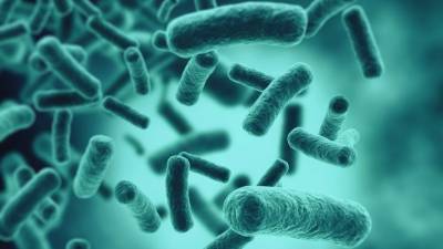 После пандемии устойчивых к антибиотикам бактерий станет больше — ученые - 5-tv.ru