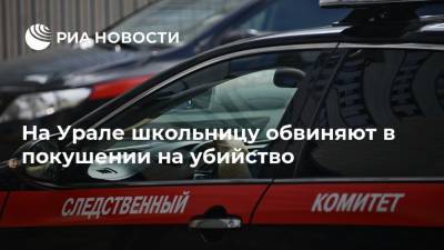 СК завел дело на школьницу, которая ударила ножом знакомую на Урале - ria.ru - Россия - Челябинская обл. - Челябинск - район Красноармейский