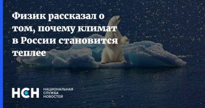 Владимир Семенов - Физик рассказал о том, почему климат в России становится теплее - nsn.fm - Россия - Арктика