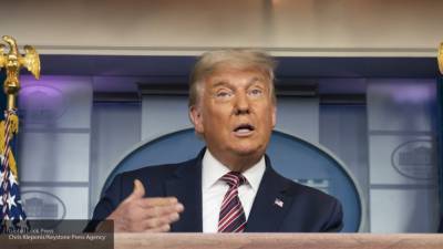 Дональд Трамп - ФАН: демократы распространяли методичку по борьбе с Трампом на выборах США - polit.info - США