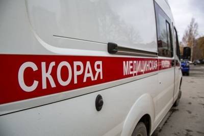 В Новосибирской области еще 179 человек заразились коронавирусом за сутки - novos.mk.ru - Новосибирская обл.