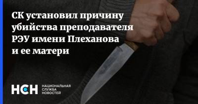 Ольга Врадий - СК установил причину убийства преподавателя РЭУ имени Плеханова и ее матери - nsn.fm - Московская обл. - Солнечногорск - Следственный Комитет