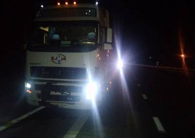 На трассе М5 под Рязанью грузовик насмерть сбил мужчину - ya62.ru - Рязань - район Рязанский - Тульская обл.