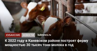К 2022 году в Каневском районе построят ферму мощностью 30 тысяч тонн молока в год - kubnews.ru - Сочи - Краснодарский край