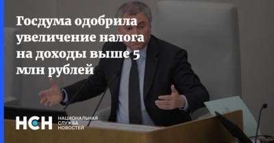 Вячеслав Володин - Госдума одобрила увеличение налога на доходы выше 5 млн рублей - nsn.fm - Россия