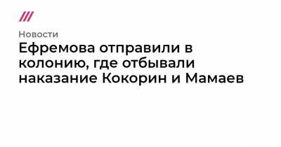 Михаил Ефремов - Ефремова отправили в колонию, где отбывали наказание Кокорин и Мамаев - tvrain.ru - Москва - Белгородская обл. - Белгород - Алексеевка