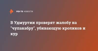 Александр Бречалов - В Удмуртии проверят жалобу на "чупакабру", убивающую кроликов и кур - ren.tv - респ. Удмуртия