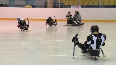 В Пензе инвалидов научили играть в хоккей на санях - penzainform.ru - Пенза
