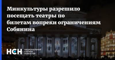 Собянин - Минкультуры разрешило посещать театры по билетам вопреки ограничениям Собянина - nsn.fm