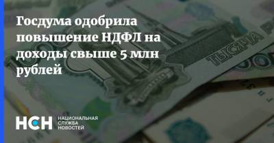 Госдума одобрила повышение НДФЛ на доходы свыше 5 млн рублей - nsn.fm - Россия