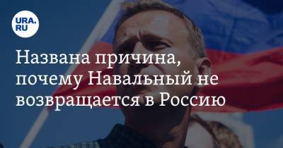 Алексей Навальный - Олег Матвейчев - Названа причина, почему Навальный не возвращается в Россию - ura.news - Россия