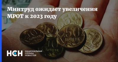 Андрей Пудов - Минтруд ожидает увеличения МРОТ к 2023 году - nsn.fm