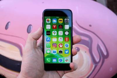 Мин-Чи Куо - В iPhone SE установят 6-дюймовый экран и оставят Touch ID - live24.ru - Китай