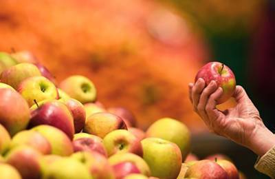 Аналитик: Спрос и цена на промышленное яблоко снизились - agroportal.ua - Украина