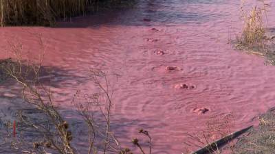 Розовое озеро с отходами: люди на Николаевщине страдают от ужасной вони - news.24tv.ua