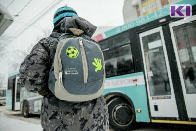 Только один из трех тысяч дошкольников Сыктывкара переболел коронавирусом - komiinform.ru - респ. Коми - Сыктывкар