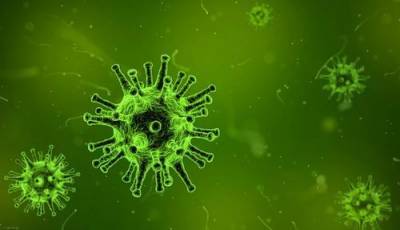 В США заразились коронавирусом миллион человек за 10 дней - argumenti.ru - США