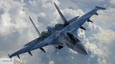 NI назвало российский Су-30 хорошей альтернативой американскому F-35 - politros.com - Россия - США